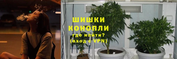 прущая мука Заводоуковск