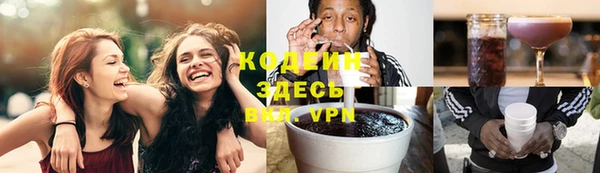 гашик Инта