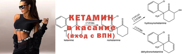 PSILOCYBIN Заволжье