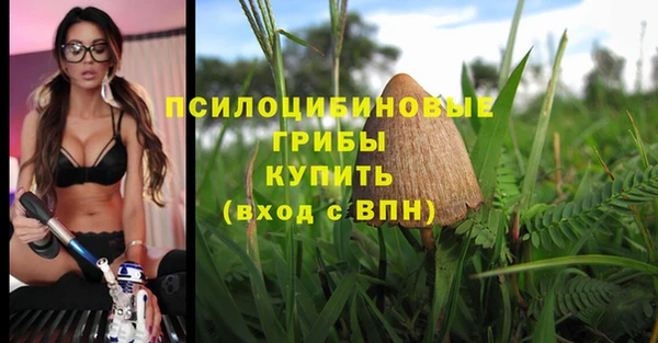 гашик Инта