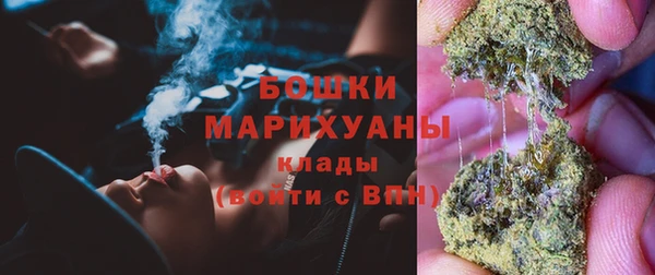 гашик Инта