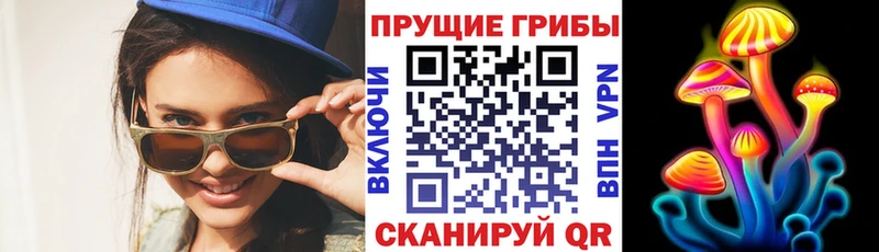 Купить где  Любань  Псилоцибиновые грибы Psilocybine cubensis 